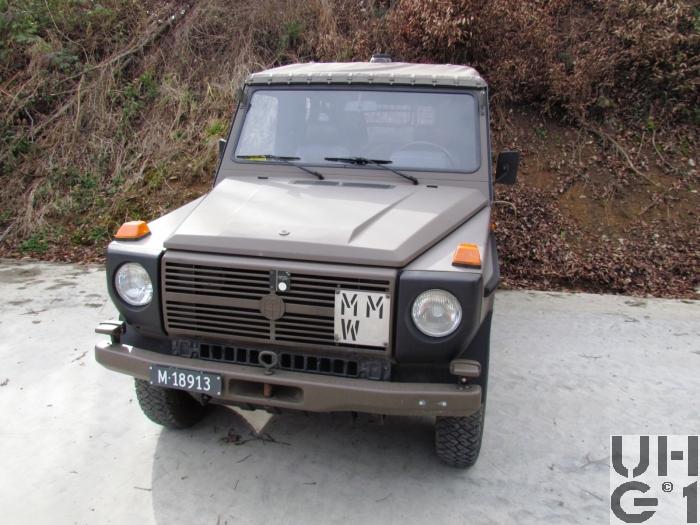 Steyr Puch 230 GE, Pw 0,8t 8Pl 4x4 gl - Leichte Geländewagen - Radfahrzeuge