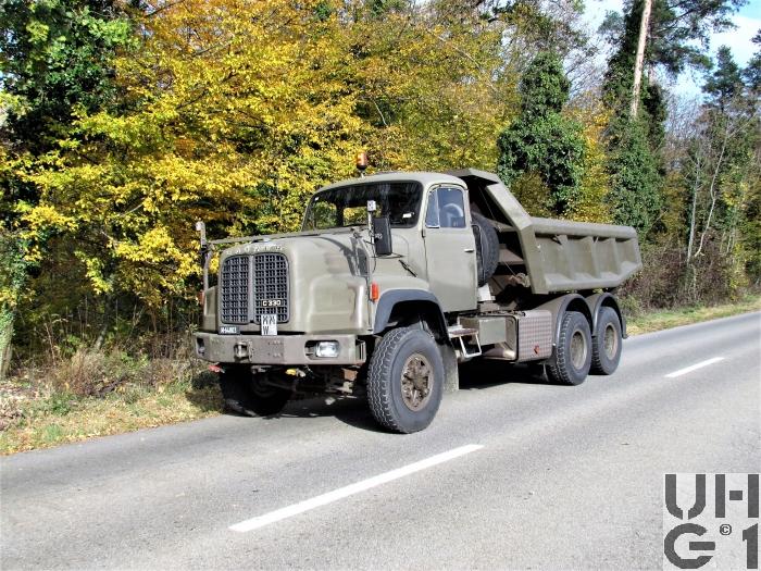 IFA W50 camion Bild