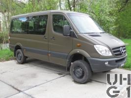 Mercedes Benz 316 CDI, Kleinbus 10 Pl 4x4