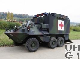 Mowag Piranha II, San Pz 6x6 gl