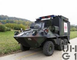 Mowag Piranha II, San Pz 6x6 gl