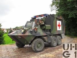 Mowag Piranha II, San Pz 6x6 gl