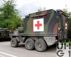 Mowag Piranha II, San Pz 6x6 gl