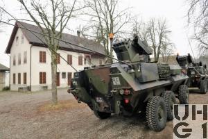 Mowag Piranha II, Pzj TOW 6x6