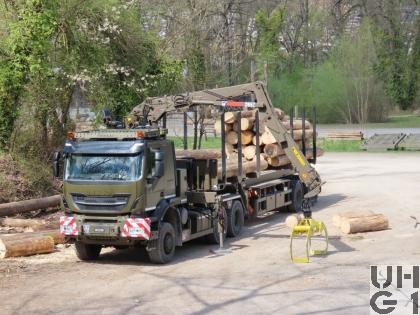 Iveco Trakker AT380T50WT/P Sattelschl sch Langmat/Holzkr 6x6 gl